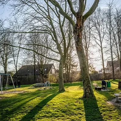 Καθαρή και πράσινη γειτονιά